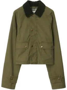 Burberry: Хлопковая куртка 