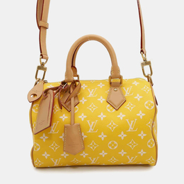 Louis Vuitton: Жёлтая сумка  Speedy