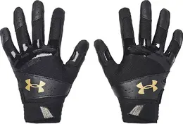 Under Armour: Перчатки 