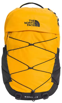 The North Face: Чёрный рюкзак  Borealis