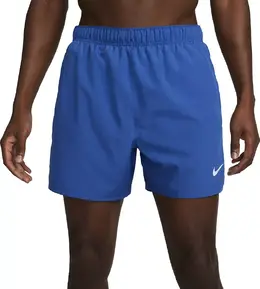 Nike: Шорты  Dri FIT