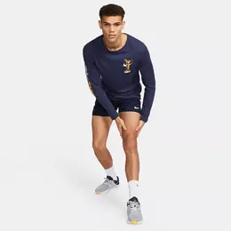 Nike: Шорты  Dri FIT