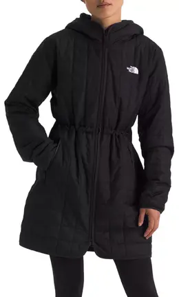 The North Face: Зимний пуховик 