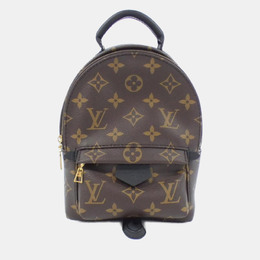 Louis Vuitton: Коричневый рюкзак 
