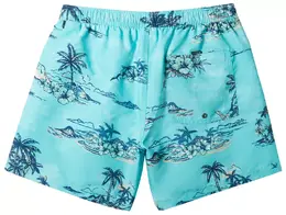 Quiksilver: Шорты капри 