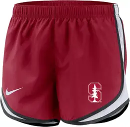 Nike: Шорты  Dri FIT
