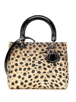 Christian Dior Pre-Owned: Сумка с леопардовым принтом 