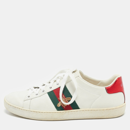 Gucci: Белые кроссовки  Web