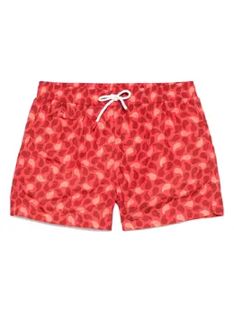 Kiton: Плавки 