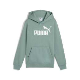 PUMA: Толстовка  Essentials с капюшоном