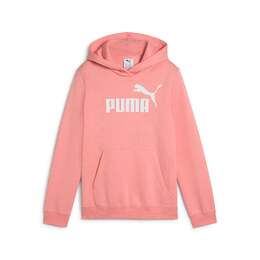 PUMA: Толстовка  Essentials с капюшоном
