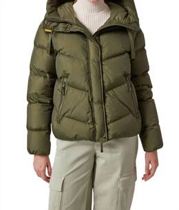 Parajumpers: Стёганые куртка 