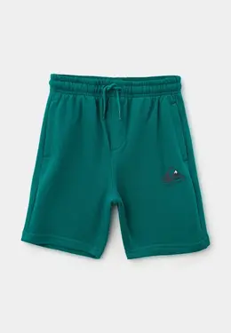 Quiksilver: Спортивные шорты 