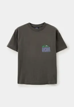 Quiksilver: Серая футболка 