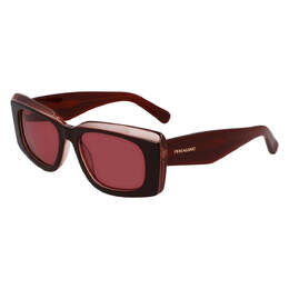 Salvatore Ferragamo: Очки  SF