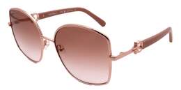 Salvatore Ferragamo: Очки 