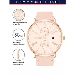TOMMY HILFIGER: Часы 