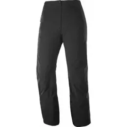 Salomon: Спортивные брюки 