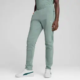 PUMA: Спортивные брюки  Evostripe