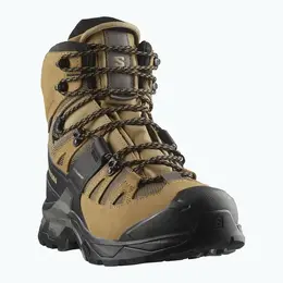 Salomon: Коричневые ботинки 