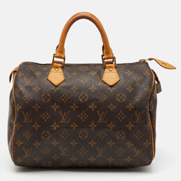 Louis Vuitton: Коричневая сумка  Speedy 30