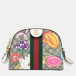 Gucci: Многоцветная сумка через плечо  Ophidia