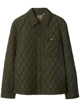 Burberry: Зелёная куртка 