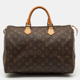 Louis Vuitton: Коричневая сумка  Speedy