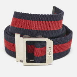 Gucci: Ремень  Web