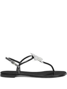 Giuseppe Zanotti: Чёрные сандалии  Hollie Star