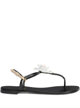 Giuseppe Zanotti: Чёрные сандалии 