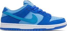 Nike: Голубые кроссовки  Dunk Low Pro SB