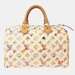 Louis Vuitton: Многоцветная сумка  Speedy 30