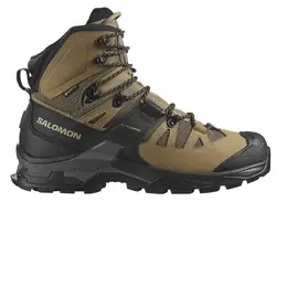 Salomon: Коричневые ботинки 
