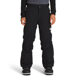 The North Face: Зимние брюки 