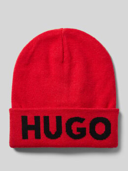 Hugo: Шапка 
