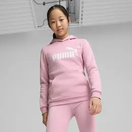 PUMA: Толстовка  Ess