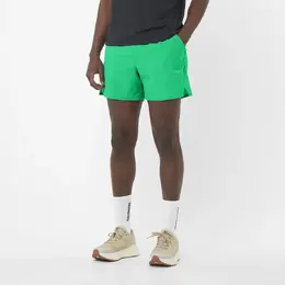 Salomon: Зелёные шорты 