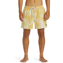 Quiksilver: Плавки 