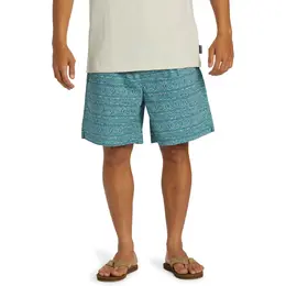 Quiksilver: Голубые шорты 