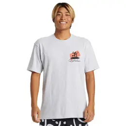 Quiksilver: Серая футболка 