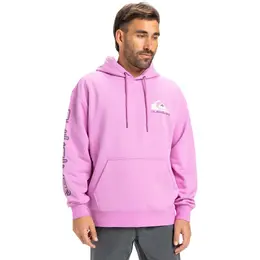 Quiksilver: Хлопковая толстовка 