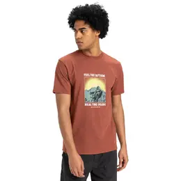 Quiksilver: Коричневая футболка 