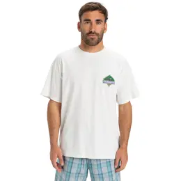 Quiksilver: Футболка со стразами 