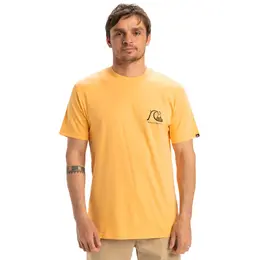 Quiksilver: Оранжевая футболка 