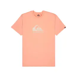 Quiksilver: Трикотажная футболка 