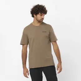 Salomon: Коричневая футболка 
