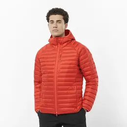 Salomon: Коричневая куртка 