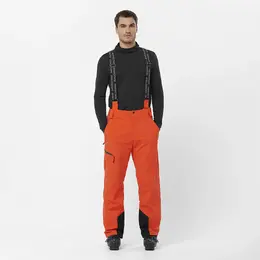 Salomon: Блестящие шорты 