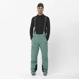 Salomon: Блестящие шорты 